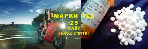 хмурый Белокуриха
