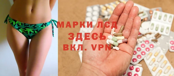 хмурый Белокуриха