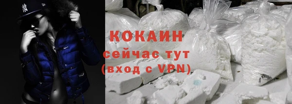 хмурый Белокуриха