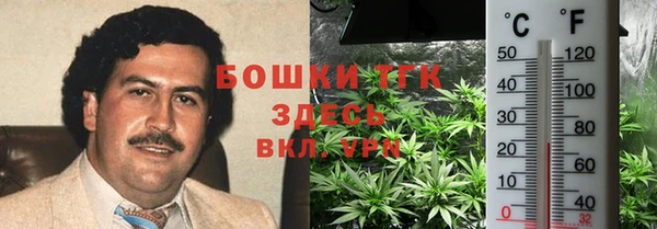 хмурый Белокуриха