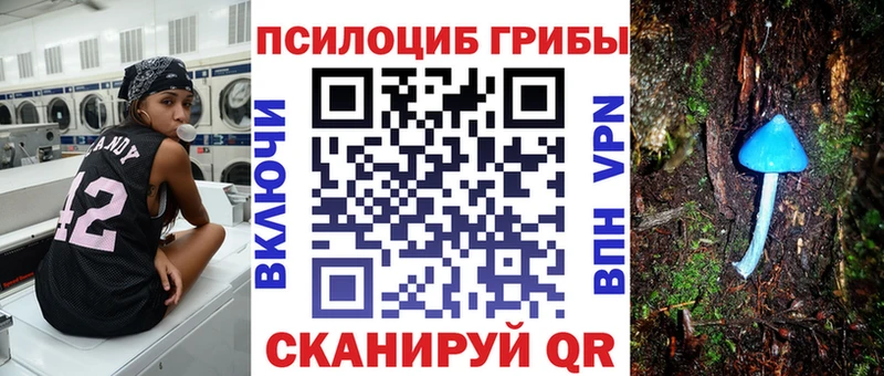 Галлюциногенные грибы GOLDEN TEACHER  Ершов 